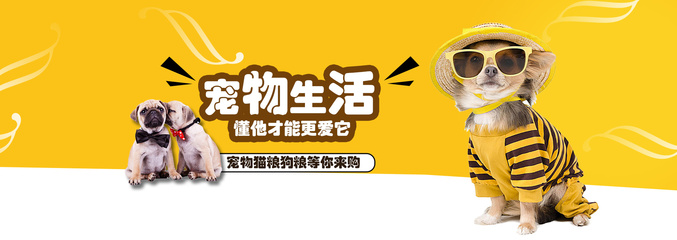 Bitcoin钱包苹果版
